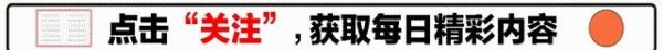 长春抢学生外卖事件后续! 学校被曝强执5.5亿, 名下有一餐饮公司